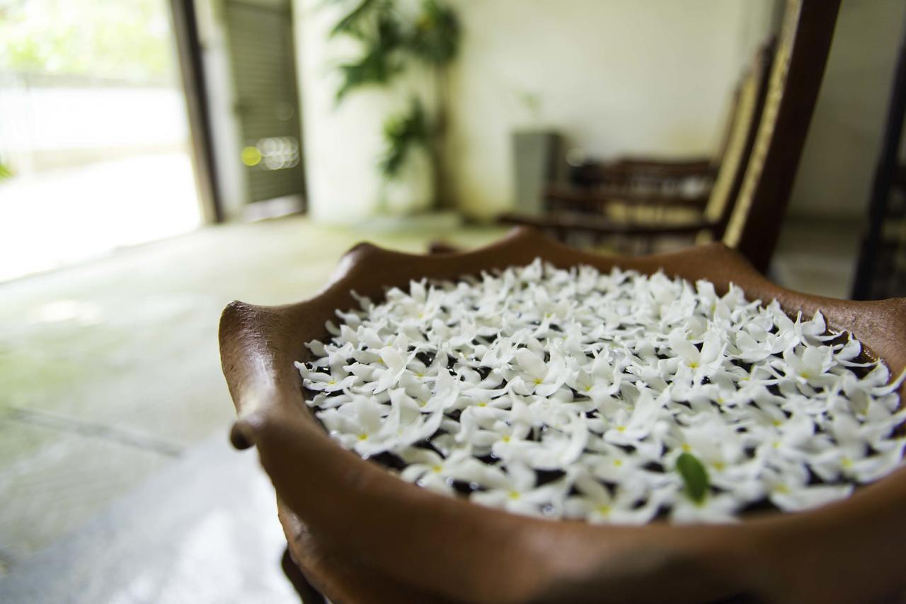 Hotel Sunshine Κολόμπο Εξωτερικό φωτογραφία
